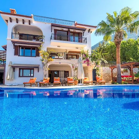 Villa Kaktues Evi