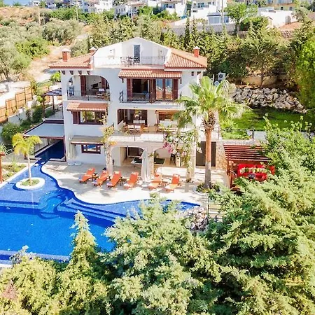 Kaktues Evi Villa