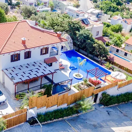 Kaktues Evi Kas