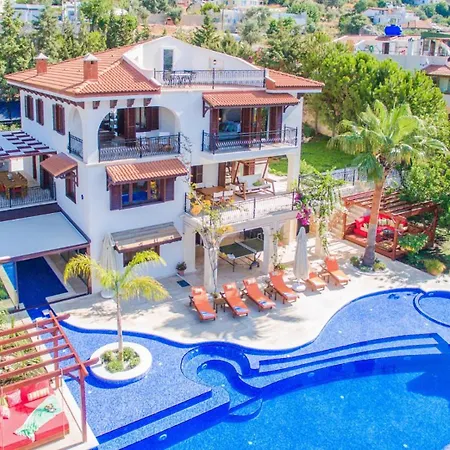 Kaktues Evi Villa