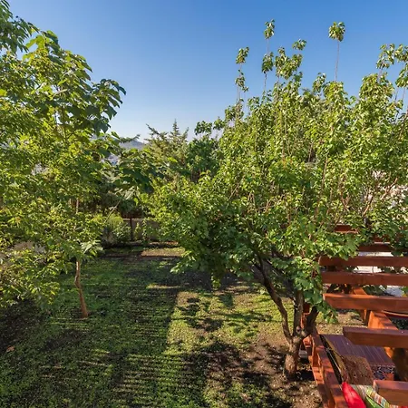 Villa Kaktues Evi