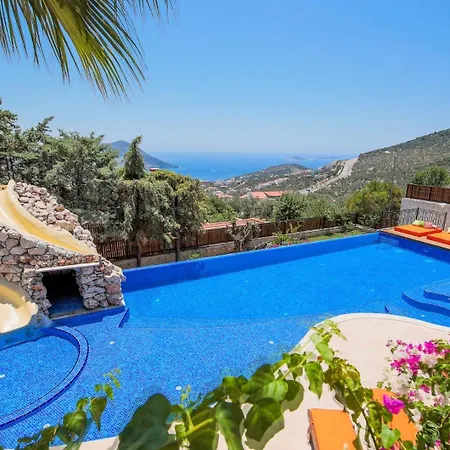 Villa Kaktues Evi *