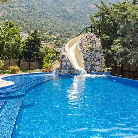 Kaktues Evi Villa